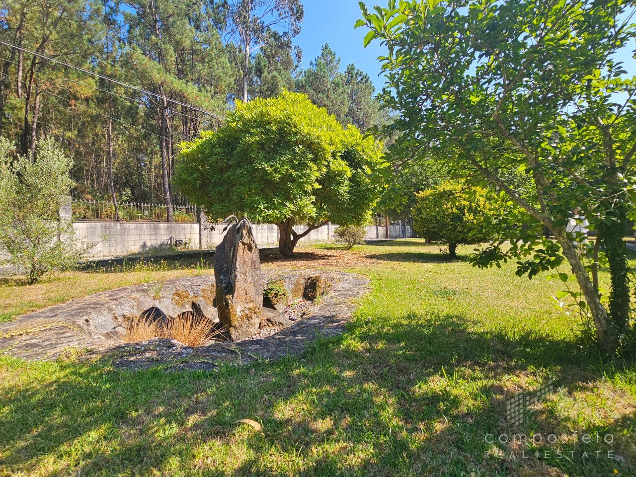 Fuente en parcela