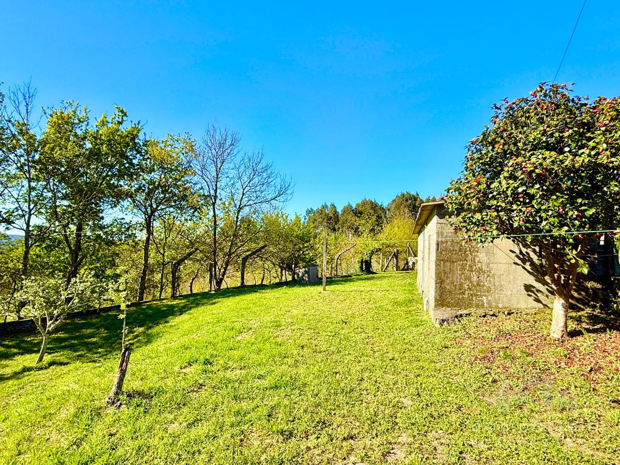 Finca, zona tranquila para vivir