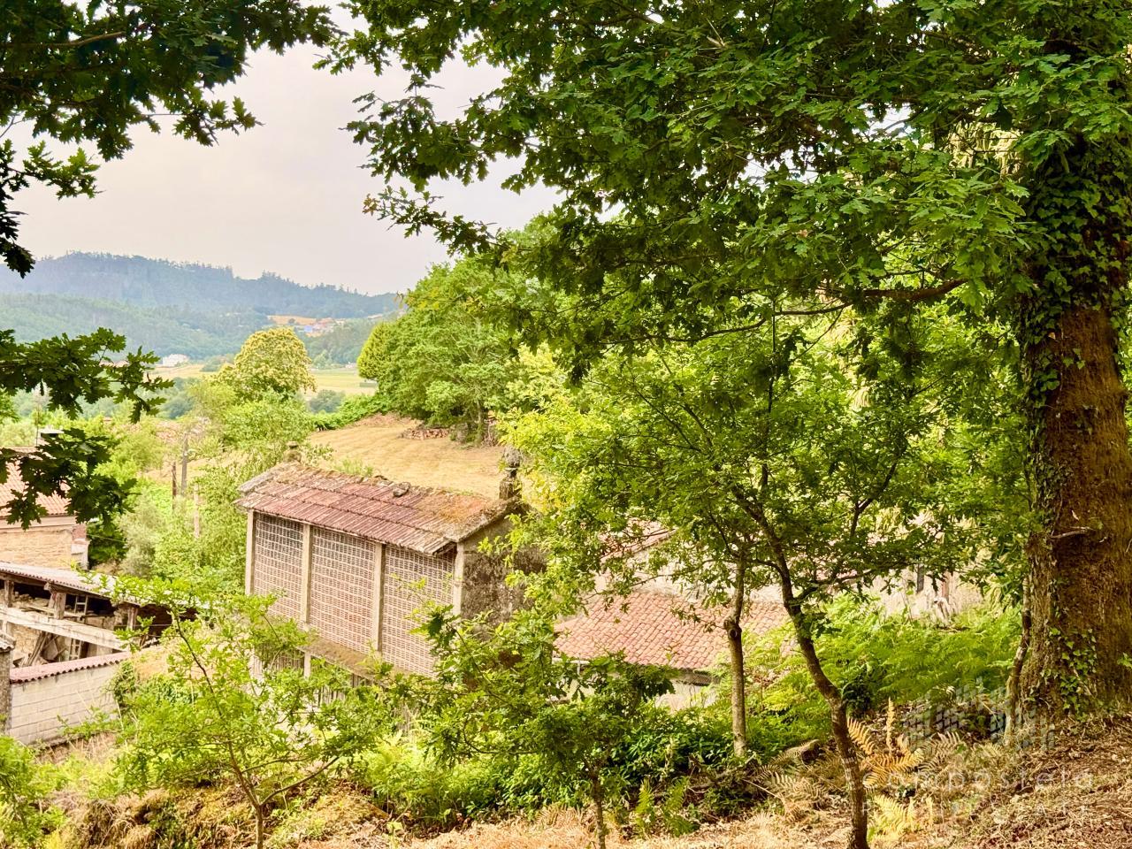 Hórreo de la 1ª casa