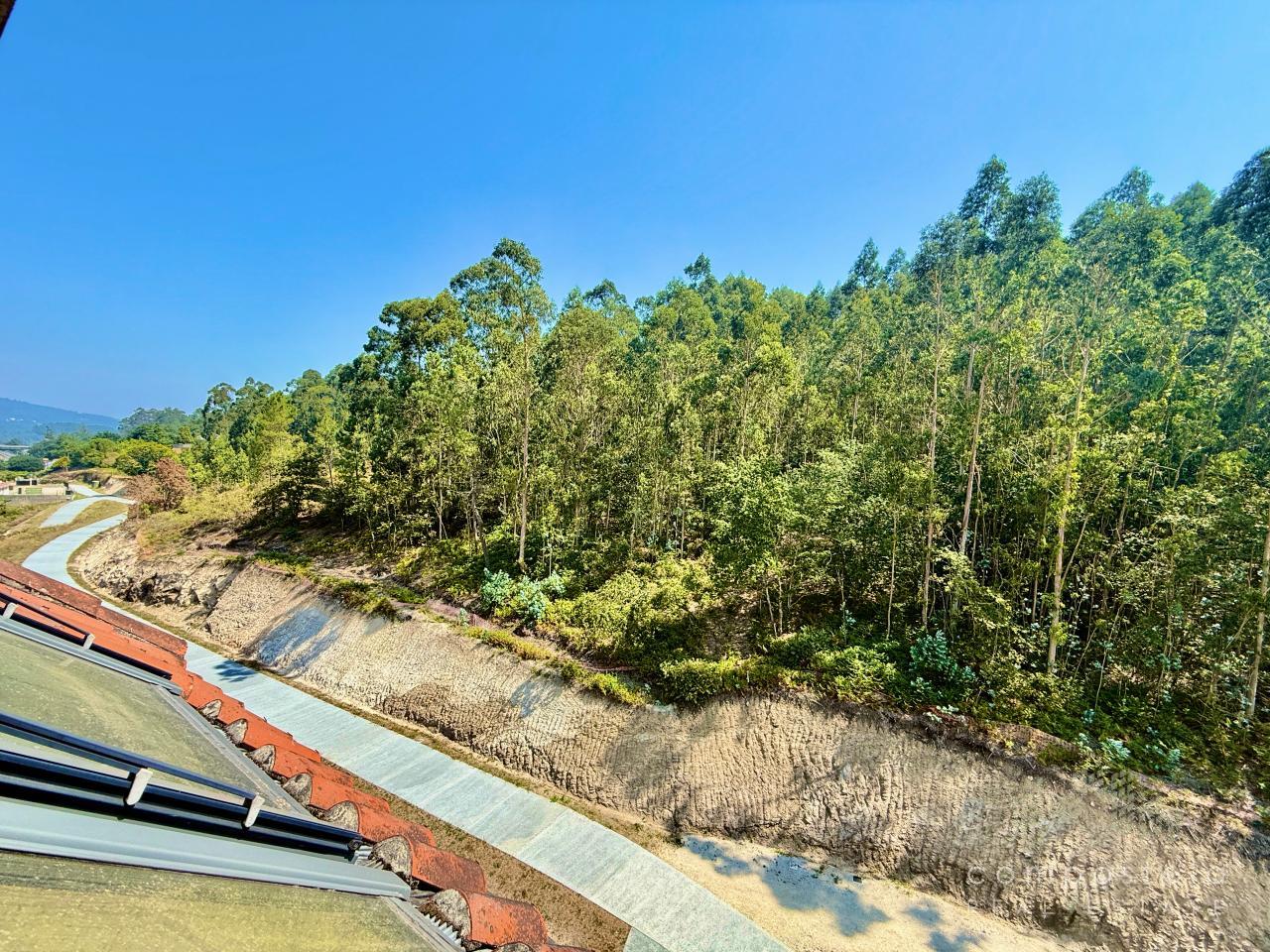 Vistas, orientación Este