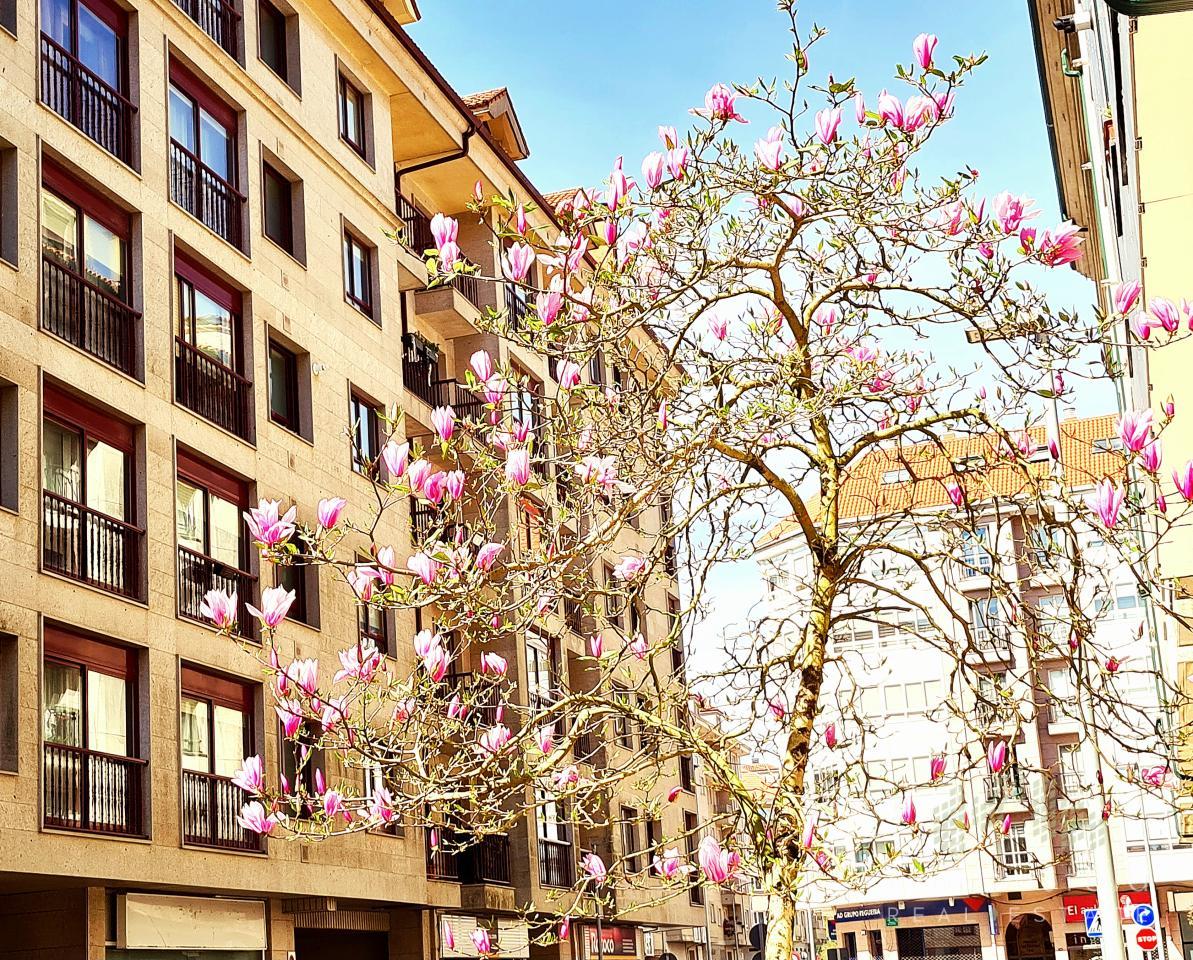Fachada, zona nueva y tranquila de Milladoiro