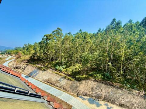 Vistas a zonas verdes, disfruta del sol de la mañana